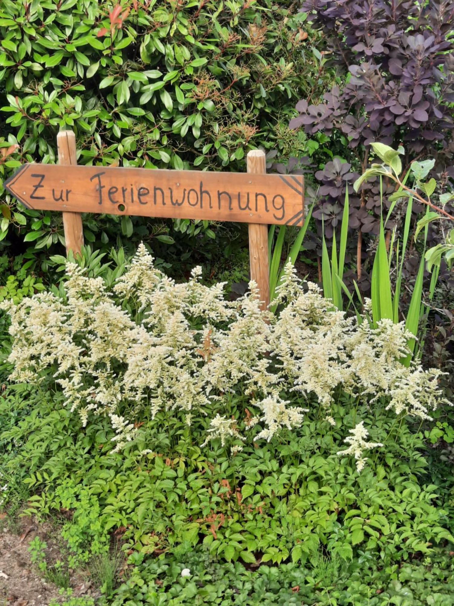 Ferienwohnung Van Den Berg เรส ภายนอก รูปภาพ